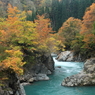 見倉橋の紅葉（津南町）