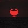 朝の未練