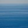 青い海