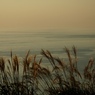 夕凪