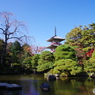 輪王寺の秋ー①