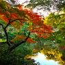 colorful pond