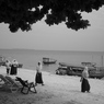 Zanzibar 白い浜