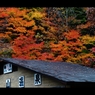 屋根と紅葉6