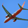 「SKY」 JEJU 737-800 HL8033 飛び立ち 