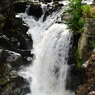 IMGP4875'