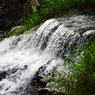 IMGP4878''