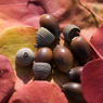 Autumnal tints