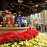 ツリー越しに..(TDL)