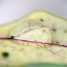 a drop of water No-1