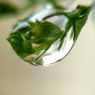 a drop of water No-3