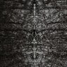 Monochrome labyrinth