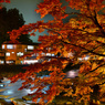 夜の香嵐渓2