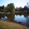 千秋楽　昭和記念公園