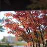 紅葉2 2017 Super-Takumar 55mmF1.8 / E-P2