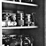 My camelife