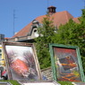 photo_728675