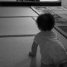 ニャンコ先生！