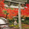 錦雲橋