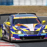 ウェッズスポーツIS350