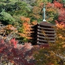 談山神社