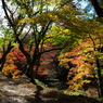 用作公園