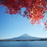 OLD LENS  名峰　Ⅱ