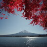 OLD LENS  名峰