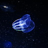 水族館