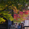 紅葉探索・１０