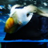水族館