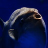 水族館