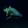 水族館