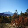 OLD LENS  名峰