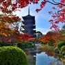 東寺の朝