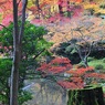 （南禅寺南禅院にて　３）