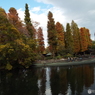 井の頭恩賜公園1