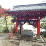 井の頭恩賜公園4