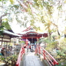 井の頭恩賜公園5