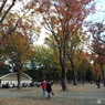 井の頭恩賜公園19