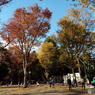 井の頭恩賜公園20