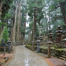 奥之院 参道