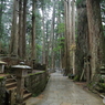 奥之院 参道