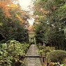 晩秋の風が吹く　(南禅寺　金地院にて　１）