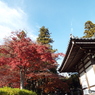 能仁寺2