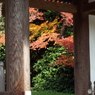 能仁寺3