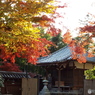 能仁寺12