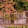 垣のリズム　（南禅寺　方丈にて　３）