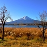 晩秋の富士山