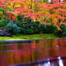 瑠璃光院床紅葉